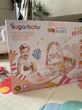 Playmate Bayi sugar baby