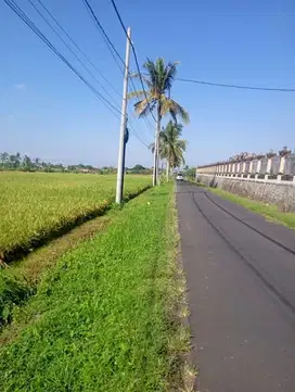 Tanah Plot Kecil Jalan Pantai Kedunggu Tabanan Bali