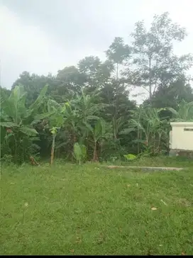 di jual kebon ada macam tanaman view gunung batu