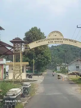 Lahan usaha peternakan dan villa