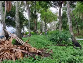 Tanah murah los pantai lingkungan villa komersil di Buleleng