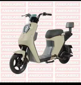 Sepeda listrik U-WINFLY M60