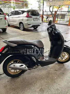 Honda Scoopy Prestige