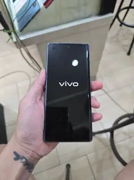 Vivo X fold 12/256 gb