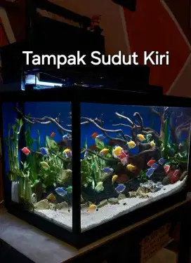 Aquarium Aquascape 60 cm Lengkap , tinggal colok listrik.