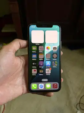 iphone 11 pro 256 gb beacukai