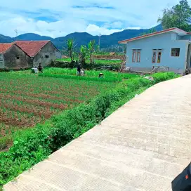 JUAL LAHAN DATAR VIEW LEPAS PEGUNUNGAN