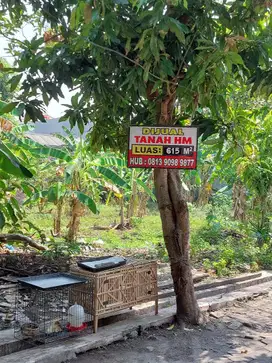 Dijual Tanah 615 m2 di Perum Rumpun Diponegoro Salak Sambiroto SMG