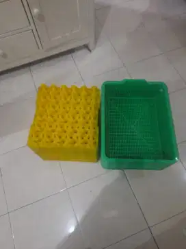 Jual tempat telur plastik PP warna kuning 30 pcs
