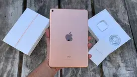 Ipad Mini 5 64GB Rose Gold