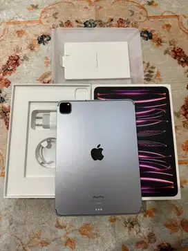 Ipad Pro M2 Gen 4 256gb IBOX WIFI+CELL 5G mulus