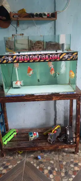 Jual aquarium 1 set+ ika