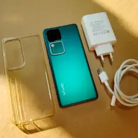 Vivo v30 5g 8/256 green