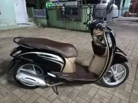 Scoopy 2014 orisinil