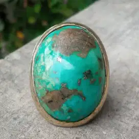 Pirus Persia Tosca Big