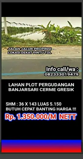 Lahan plot pergudangan banjarsari cerme gresik