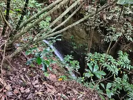 Dijual tanah murah  air terjun view bukit di munduk buleleng bali