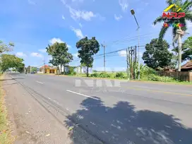 Dijual Tanah Luas di Utara Polsek Kabat - Banyuwangi