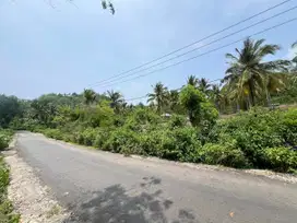 Tanah murah dekat pantai Areguling Kuta Mandalika Lombok