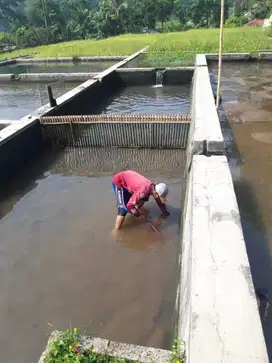 beberapa vila dengan kolam ikan 24 buah