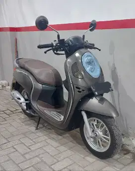 Scoopy Keyless 2022 Dp 800rb