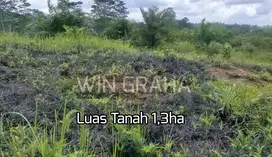 Jual Cepat Lahan Tanah Strategis Di Kalimantan Timur Dekat IKN