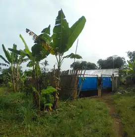 Di Jual Lahan Ternak,Sudah Ada Bangunan