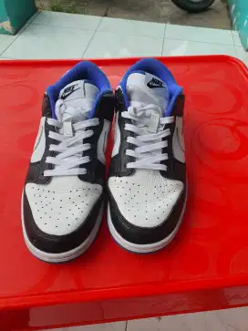 Nike air jordan low SB dunk