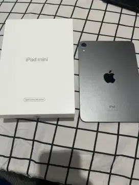 iPad mini 6, 256gb, wifi only