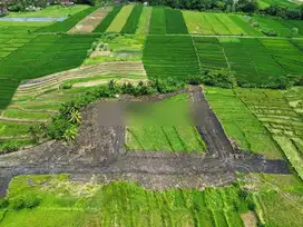 tanah kavling one gate system view sawah dan sunset di kedungu