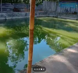 rumah plus ruang usaha kolam pancing murah