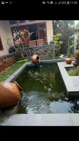 Jasa Kolam Ikan Koi Minimalis