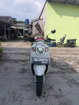 Termurah scoopy staylist 2019 istimewa