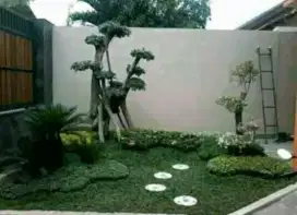 Tukang pembuat Taman dan kolam koi