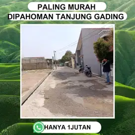 TANAH KAVLING PAHOMAN KEDAMAIAN DTANJUNG GADING DJUAL MURAH