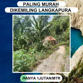 TANAH KEMILING LANGKAPURA DEKAT PRAMUKA DJUAL HARGA MURAH