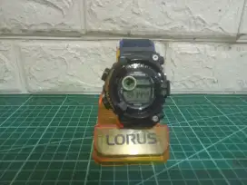 G-Shock Frogman Dw8200