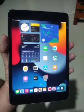 iPad Mini 4 Wifi only