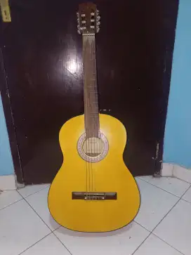 Gitar Ibanez C-310