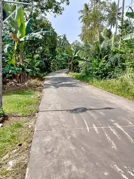 tanah talang bakung jalan cor