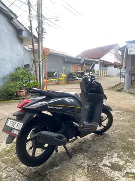 Honda Genio 2019