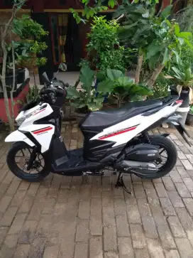 Motor vario 2017