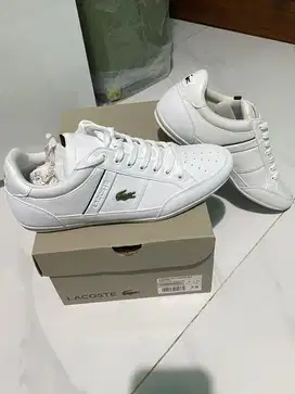 Sepatu Lacoste - Chaymon White