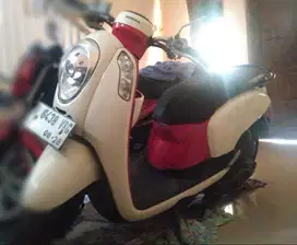 Honda Scoopy 2013