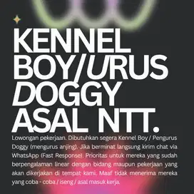 KENNEL BOY ASAL NTT