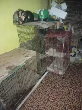 Dijual cepet kandang kucing