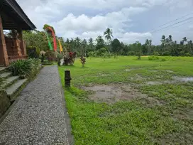 DIJUAL PONDOK WISATA VIEW SAWAH LOKASI CARANGSARI BADUNG BALI