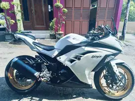 Ninja 250 di sport