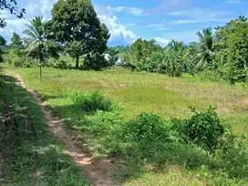 Jual Tanah di Kab.Sorong SP 2 Pinggir Jln.Utama