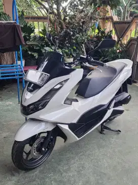 PCX 2022 Istimewa